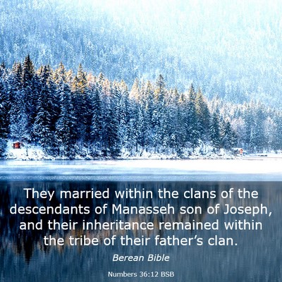 Picture 03 - Numbers 36:12 BSB - They married within the clans of the descendants - Bible Verse Picture