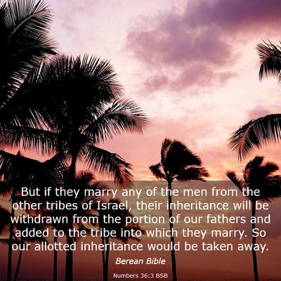 Picture 03 - Numbers 36:3 BSB - But if they marry any of the men from the other - Bible Verse Picture