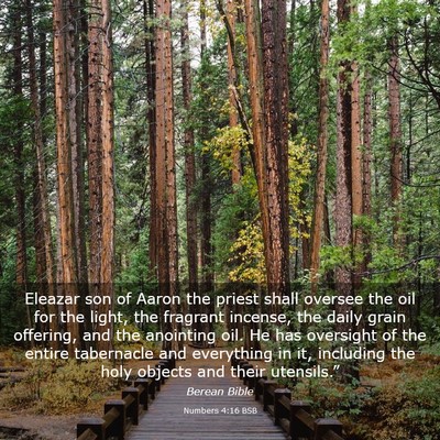 Picture 03 - Numbers 4:16 BSB - Eleazar son of Aaron the priest shall oversee the - Bible Verse Picture