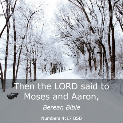 Picture 03 - Numbers 4:17 BSB - Then the LORD said to Moses and - Bible Verse Picture