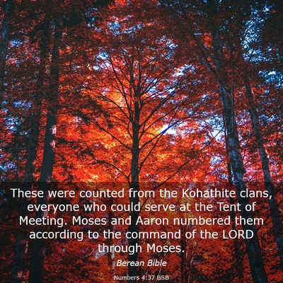 Picture 03 - Numbers 4:37 BSB - These were counted from the Kohathite clans, - Bible Verse Picture