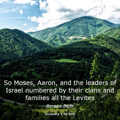 Picture 03 - Numbers 4:46 BSB - So Moses, Aaron, and the leaders of Israel - Bible Verse Picture