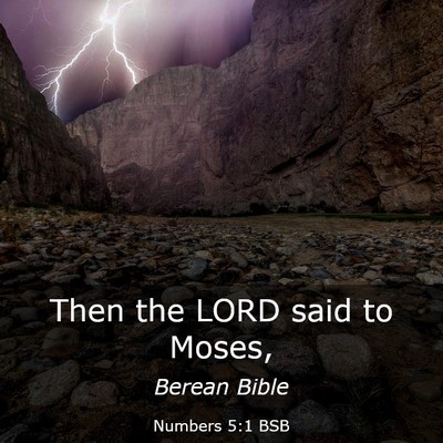 Picture 03 - Numbers 5:1 BSB - Then the LORD said to - Bible Verse Picture