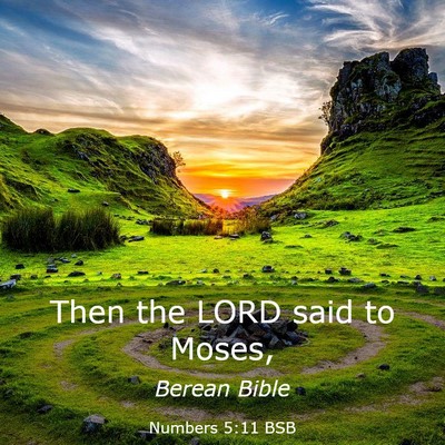 Picture 03 - Numbers 5:11 BSB - Then the LORD said to - Bible Verse Picture