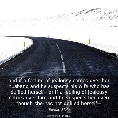 Picture 03 - Numbers 5:14 BSB - and if a feeling of jealousy comes over her - Bible Verse Picture