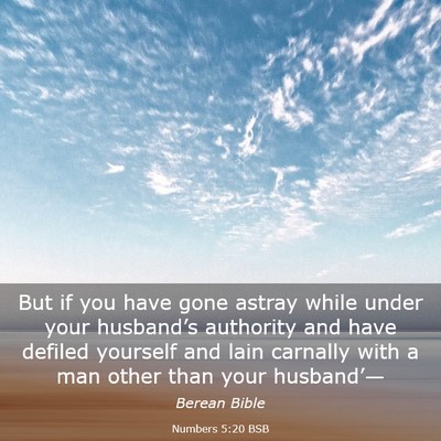 Picture 03 - Numbers 5:20 BSB - But if you have gone astray while under your - Bible Verse Picture