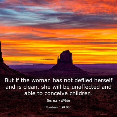 Picture 03 - Numbers 5:28 BSB - But if the woman has not defiled herself and is - Bible Verse Picture