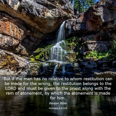 Picture 03 - Numbers 5:8 BSB - But if the man has no relative to whom - Bible Verse Picture