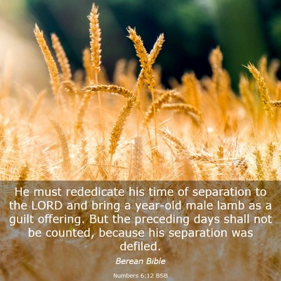 Picture 03 - Numbers 6:12 BSB - He must rededicate his time of separation to the - Bible Verse Picture