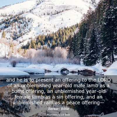 Picture 03 - Numbers 6:14 BSB - and he is to present an offering to the LORD of - Bible Verse Picture