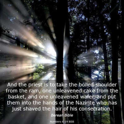 Picture 03 - Numbers 6:19 BSB - And the priest is to take the boiled shoulder - Bible Verse Picture