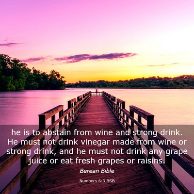 Picture 03 - Numbers 6:3 BSB - he is to abstain from wine and strong drink. He - Bible Verse Picture
