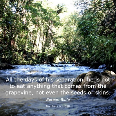 Picture 03 - Numbers 6:4 BSB - All the days of his separation, he is not to eat - Bible Verse Picture