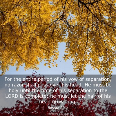 Picture 03 - Numbers 6:5 BSB - For the entire period of his vow of separation, - Bible Verse Picture