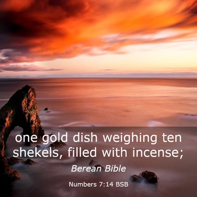 Picture 03 - Numbers 7:14 BSB - one gold dish weighing ten shekels, filled with - Bible Verse Picture