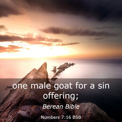 Picture 03 - Numbers 7:16 BSB - one male goat for a sin - Bible Verse Picture