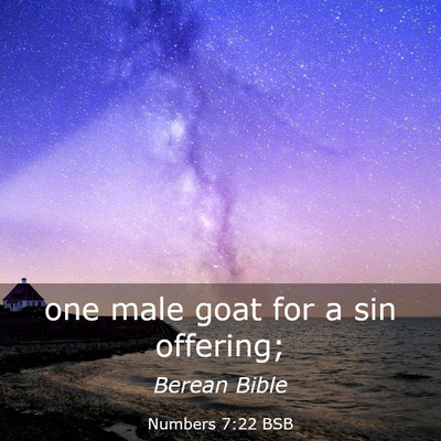 Picture 03 - Numbers 7:22 BSB - one male goat for a sin - Bible Verse Picture