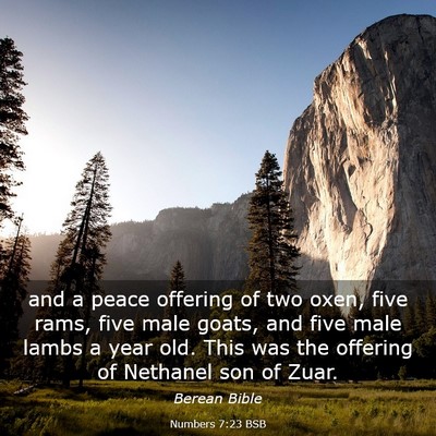 Picture 03 - Numbers 7:23 BSB - and a peace offering of two oxen, five rams, five - Bible Verse Picture