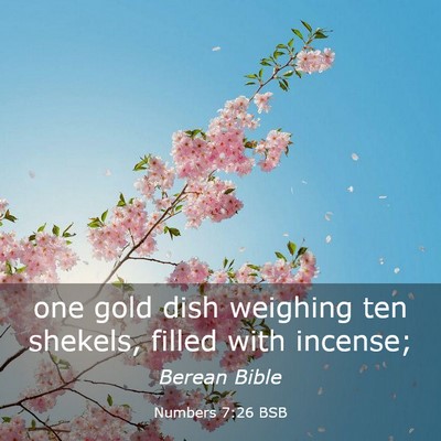 Picture 03 - Numbers 7:26 BSB - one gold dish weighing ten shekels, filled with - Bible Verse Picture