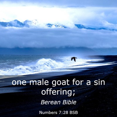 Picture 03 - Numbers 7:28 BSB - one male goat for a sin - Bible Verse Picture