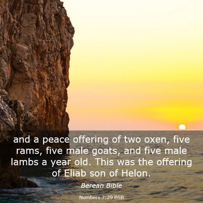 Picture 03 - Numbers 7:29 BSB - and a peace offering of two oxen, five rams, five - Bible Verse Picture
