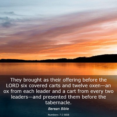 Picture 03 - Numbers 7:3 BSB - They brought as their offering before the LORD - Bible Verse Picture