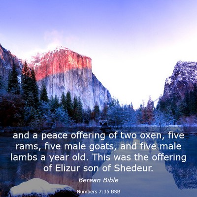 Picture 03 - Numbers 7:35 BSB - and a peace offering of two oxen, five rams, five - Bible Verse Picture