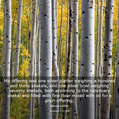 Picture 03 - Numbers 7:37 BSB - His offering was one silver platter weighing a - Bible Verse Picture