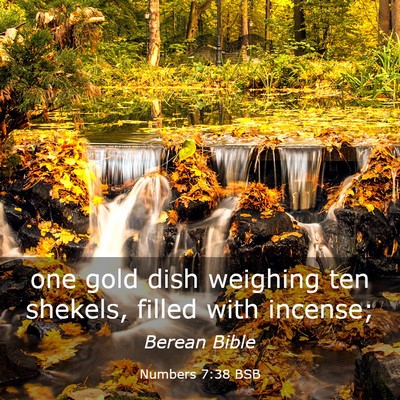 Picture 03 - Numbers 7:38 BSB - one gold dish weighing ten shekels, filled with - Bible Verse Picture