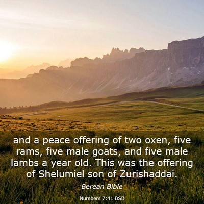 Picture 03 - Numbers 7:41 BSB - and a peace offering of two oxen, five rams, five - Bible Verse Picture