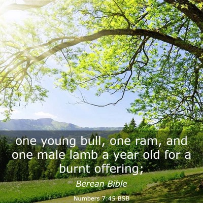 Picture 03 - Numbers 7:45 BSB - one young bull, one ram, and one male lamb a year - Bible Verse Picture