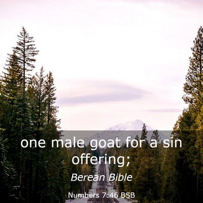 Picture 03 - Numbers 7:46 BSB - one male goat for a sin - Bible Verse Picture