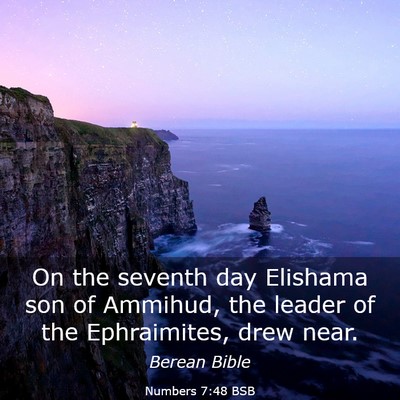 Picture 03 - Numbers 7:48 BSB - On the seventh day Elishama son of Ammihud, the - Bible Verse Picture