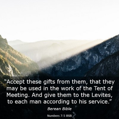 Picture 03 - Numbers 7:5 BSB - “Accept these gifts from them, that they may be - Bible Verse Picture