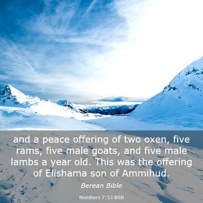 Picture 03 - Numbers 7:53 BSB - and a peace offering of two oxen, five rams, five - Bible Verse Picture