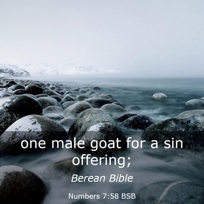 Picture 03 - Numbers 7:58 BSB - one male goat for a sin - Bible Verse Picture