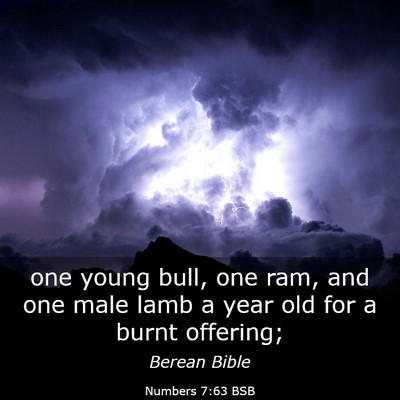 Picture 03 - Numbers 7:63 BSB - one young bull, one ram, and one male lamb a year - Bible Verse Picture