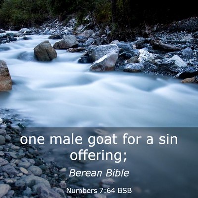 Picture 03 - Numbers 7:64 BSB - one male goat for a sin - Bible Verse Picture