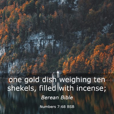 Picture 03 - Numbers 7:68 BSB - one gold dish weighing ten shekels, filled with - Bible Verse Picture