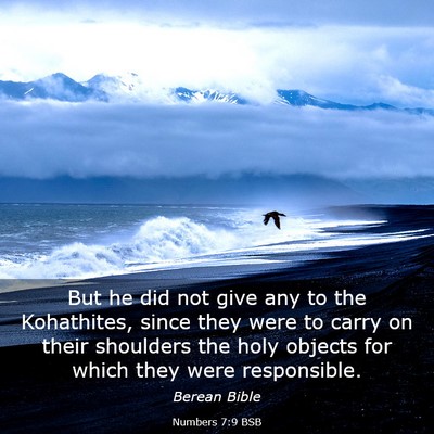 Picture 03 - Numbers 7:9 BSB - But he did not give any to the Kohathites, since - Bible Verse Picture