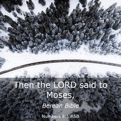 Picture 03 - Numbers 8:1 BSB - Then the LORD said to - Bible Verse Picture