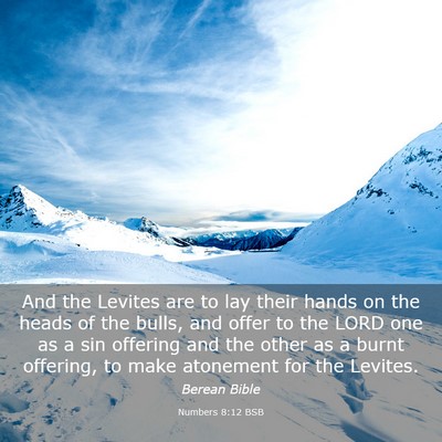 Picture 03 - Numbers 8:12 BSB - And the Levites are to lay their hands on the - Bible Verse Picture