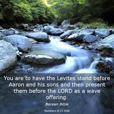 Picture 03 - Numbers 8:13 BSB - You are to have the Levites stand before Aaron - Bible Verse Picture