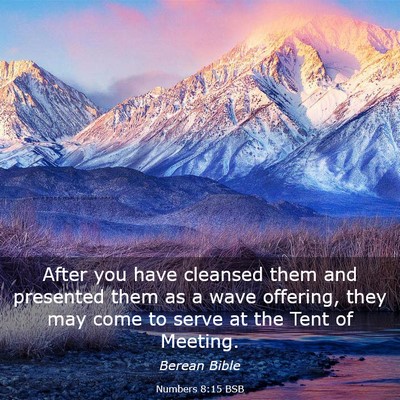 Picture 03 - Numbers 8:15 BSB - After you have cleansed them and presented them - Bible Verse Picture