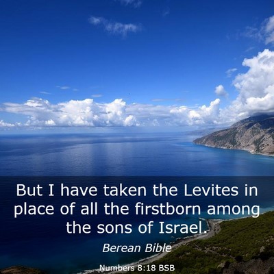 Picture 03 - Numbers 8:18 BSB - But I have taken the Levites in place of all the - Bible Verse Picture