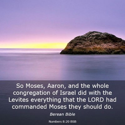 Picture 03 - Numbers 8:20 BSB - So Moses, Aaron, and the whole congregation of - Bible Verse Picture