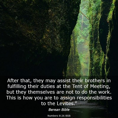 Picture 03 - Numbers 8:26 BSB - After that, they may assist their brothers in - Bible Verse Picture