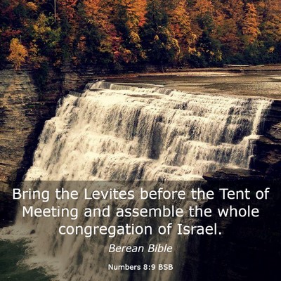 Picture 03 - Numbers 8:9 BSB - Bring the Levites before the Tent of Meeting and - Bible Verse Picture