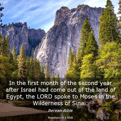 Picture 03 - Numbers 9:1 BSB - In the first month of the second year after - Bible Verse Picture