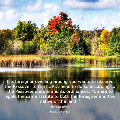 Picture 03 - Numbers 9:14 BSB - If a foreigner dwelling among you wants to - Bible Verse Picture
